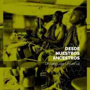 La percusión en el Método DMI